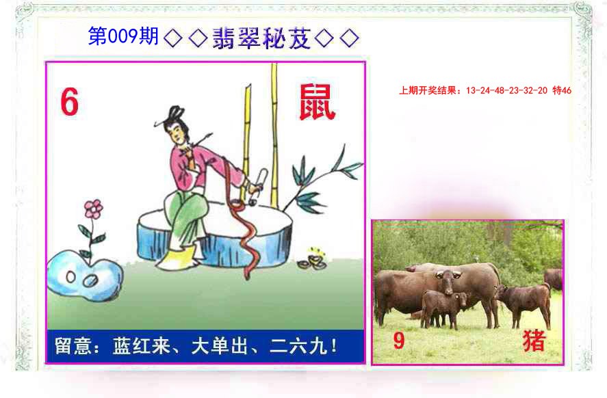 009期翡翠报[图]