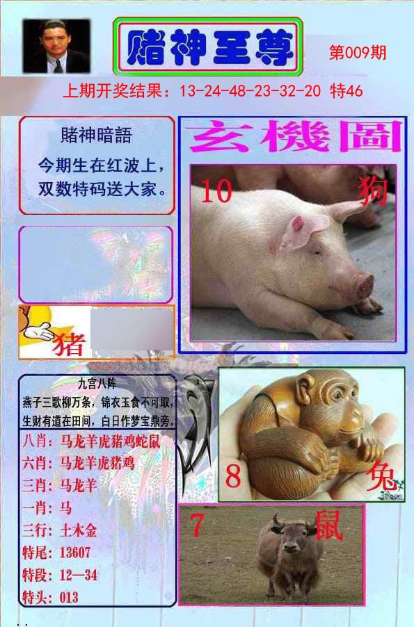 009期赌神至尊[图]