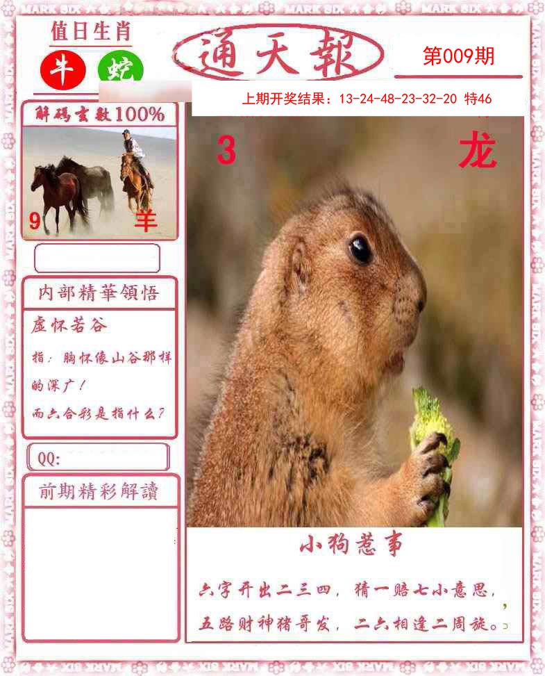 009期正版通天报[图]