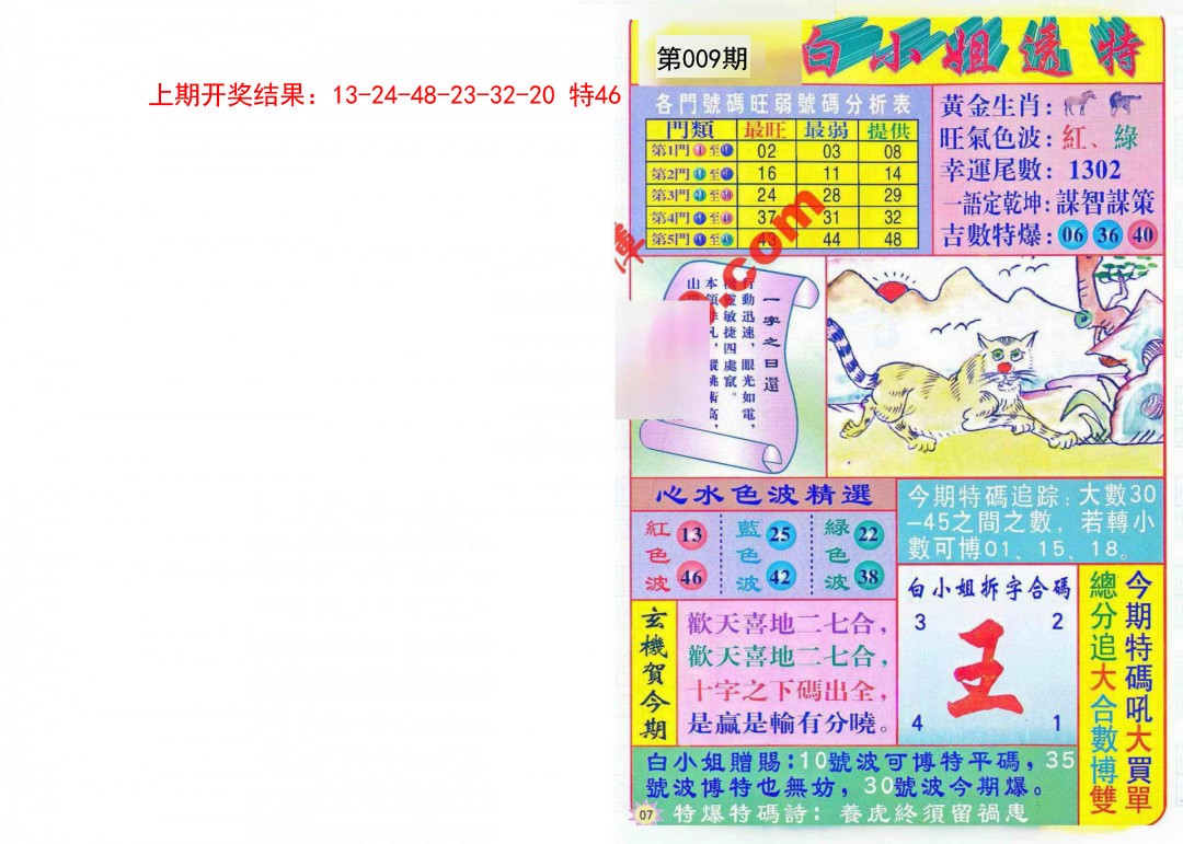 009期白小姐透特[图]