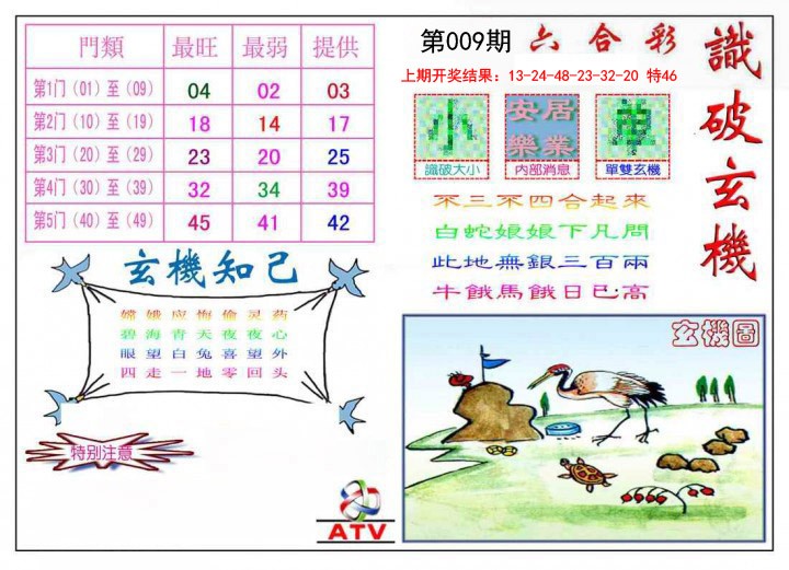 009期识破玄机[图]