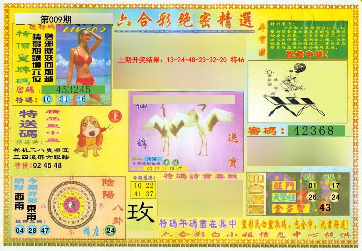 009期绝密精选A[图]
