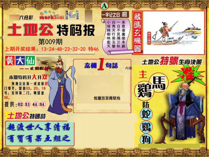 009期土地公特码报A[图]
