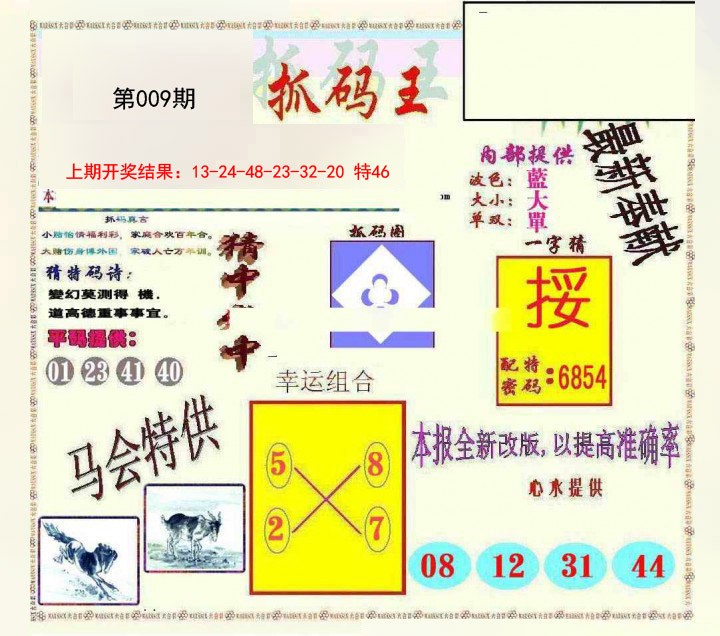 009期新抓码王[图]