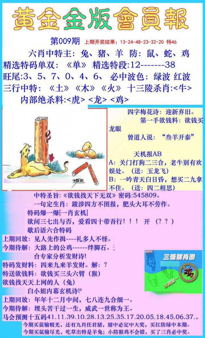 009期黄金金版会员报[图]