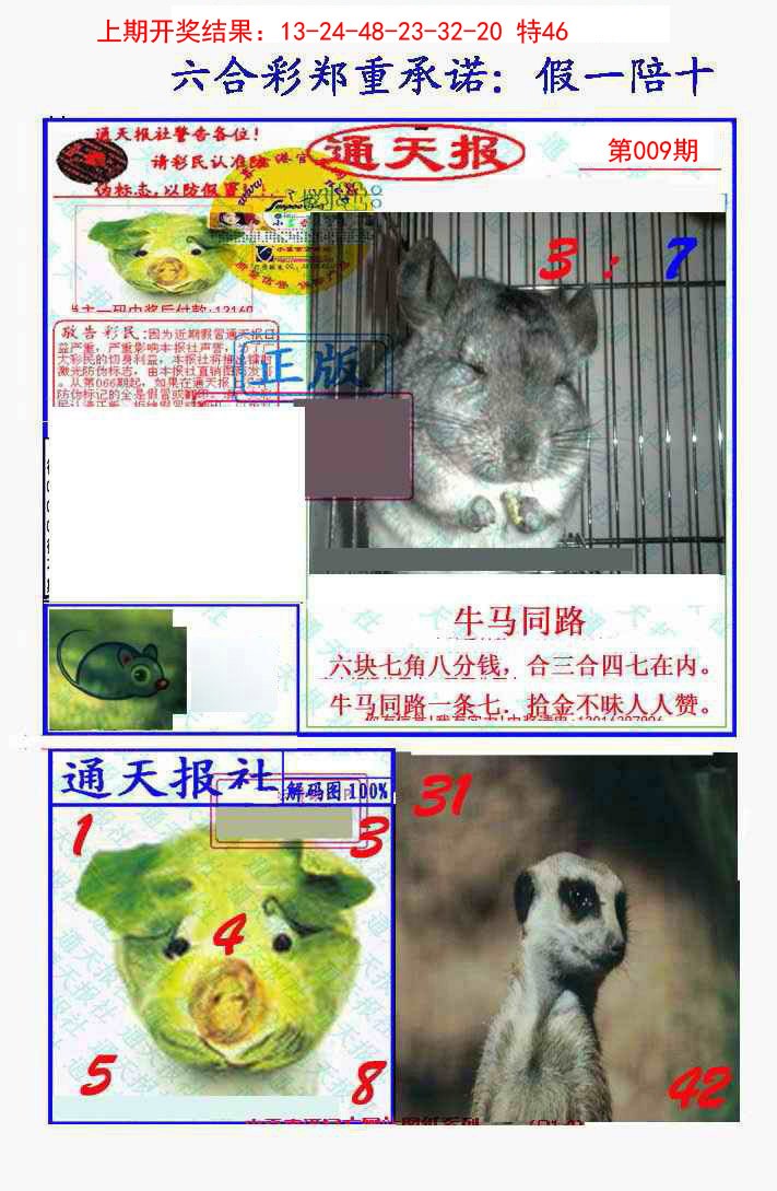 009期假一陪十通天报[图]