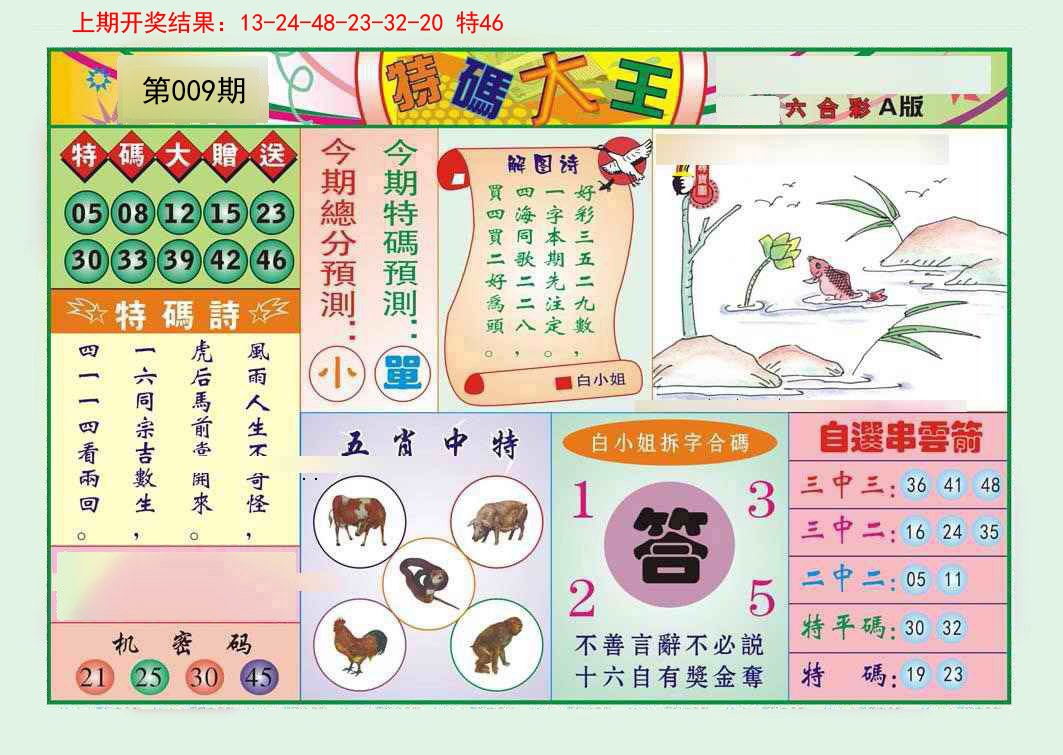 009期特码大王A[图]