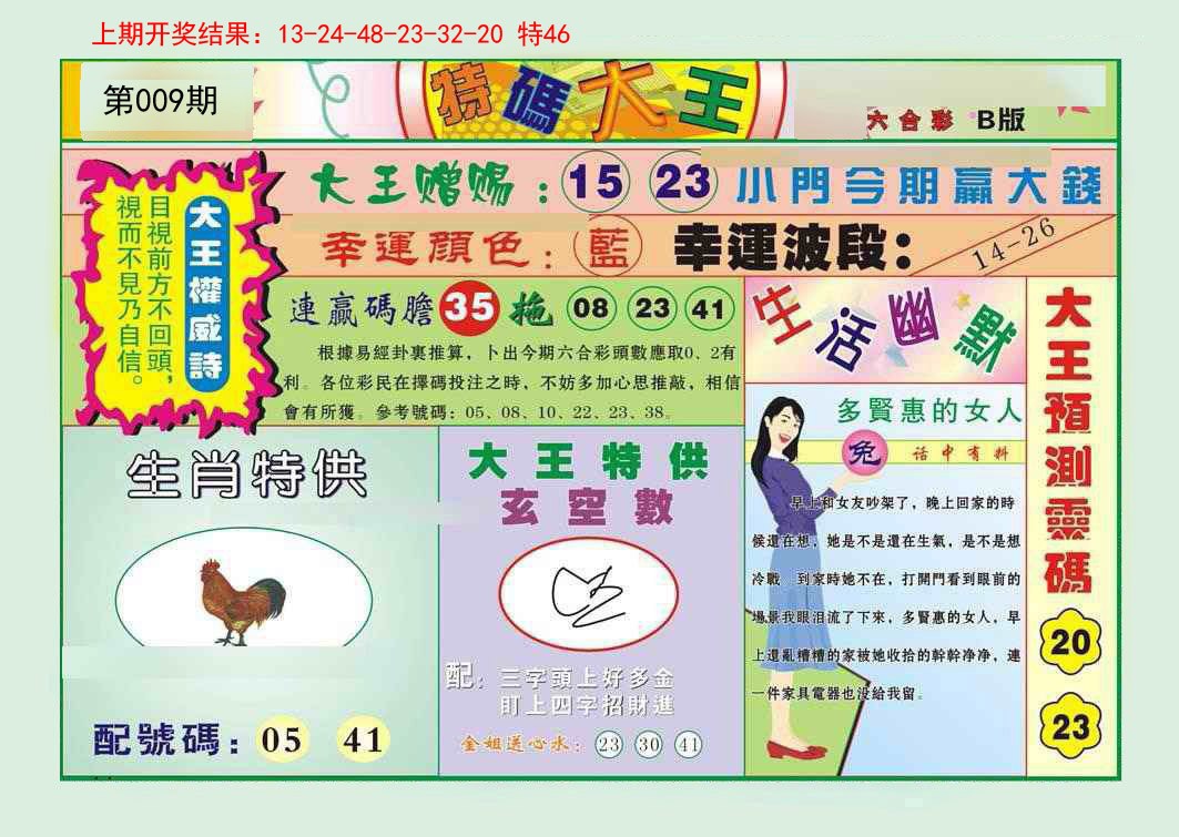 009期特码大王B[图]