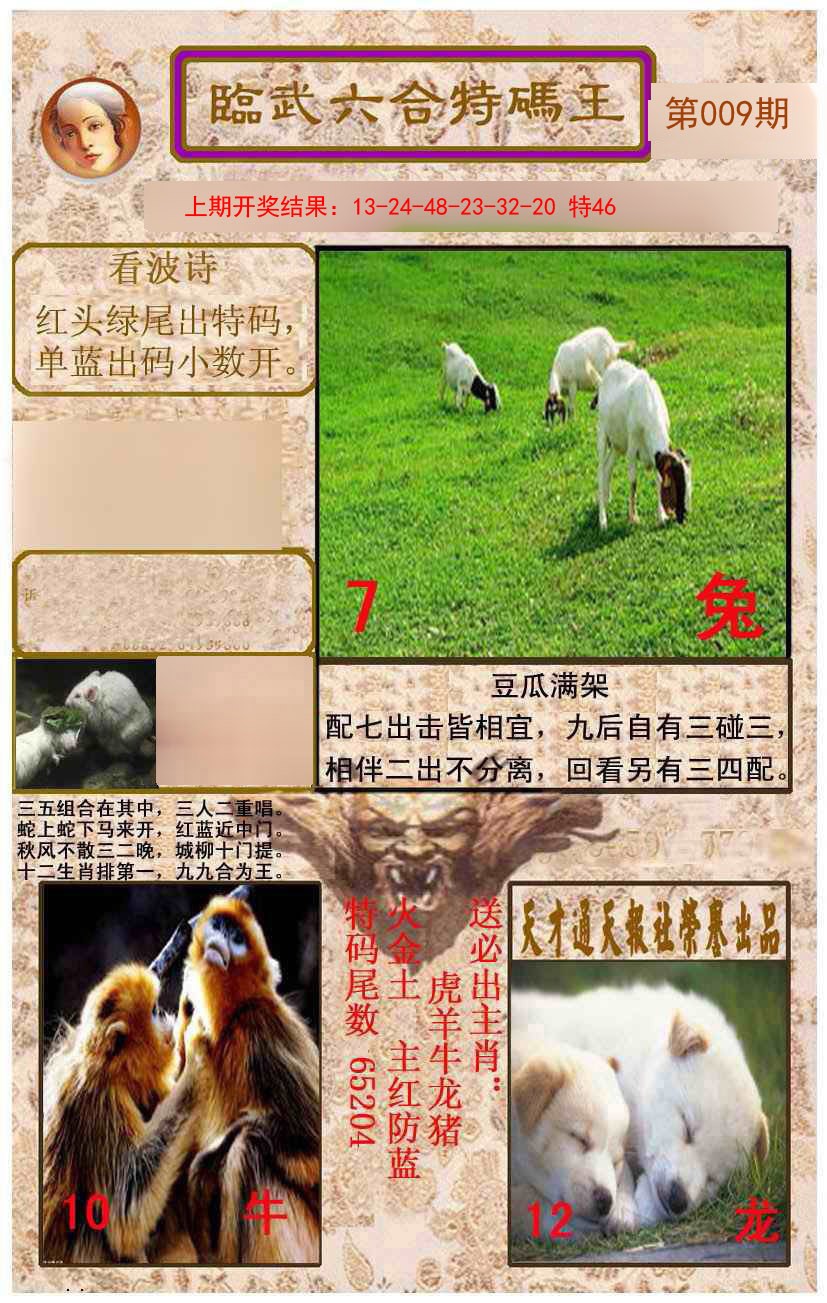 009期临武六合特码王[图]