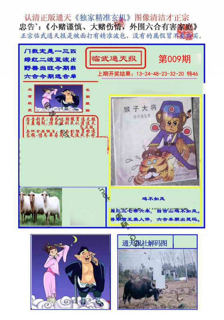 009期临武通天报[图]