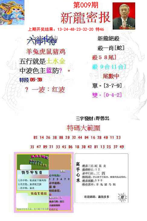 009期新龙密报[图]