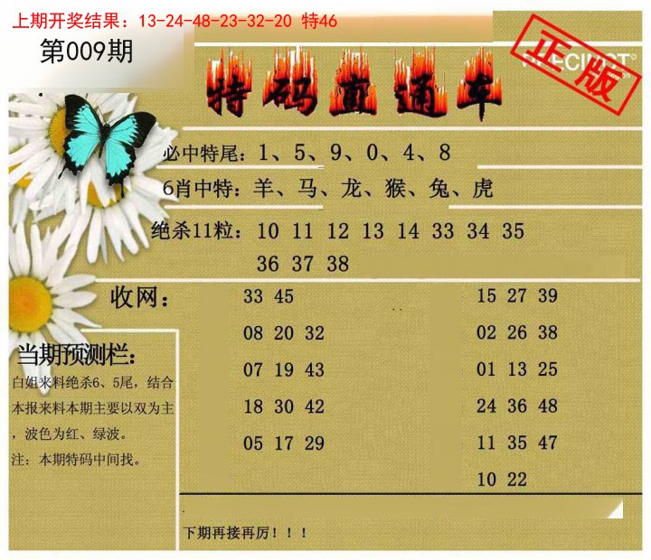 009期特码直通车[图]