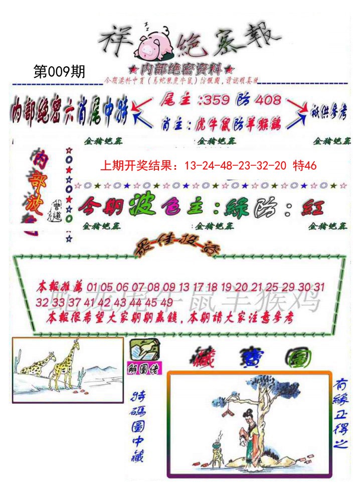 009期金鼠绝密图[图]