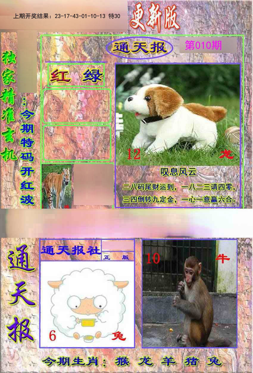 010期新通报[图]