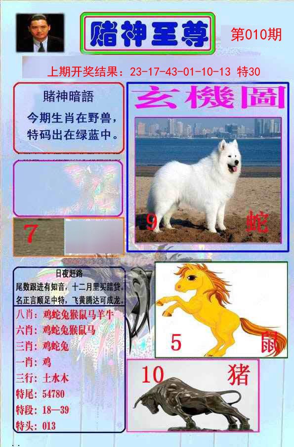 010期赌神至尊[图]