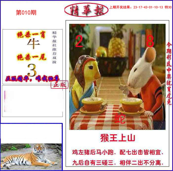 010期新精华报报[图]