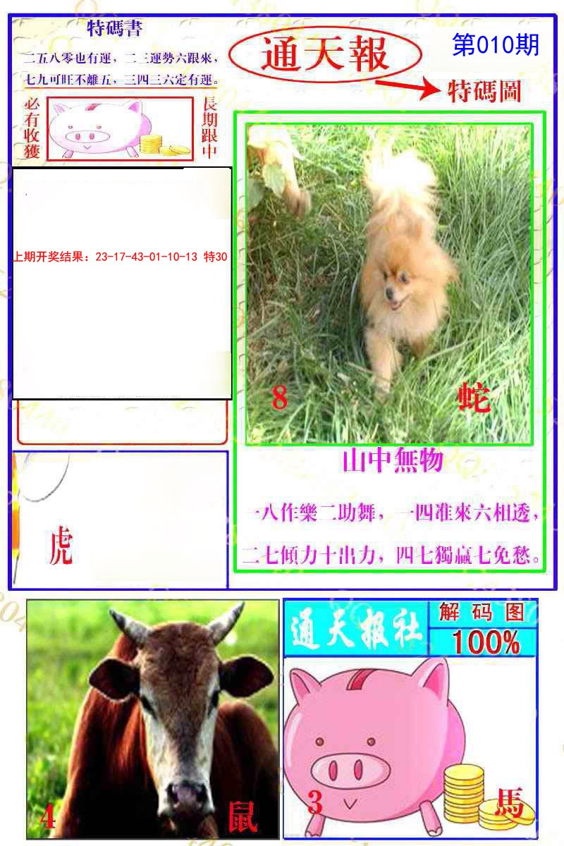 010期通天特解图[图]