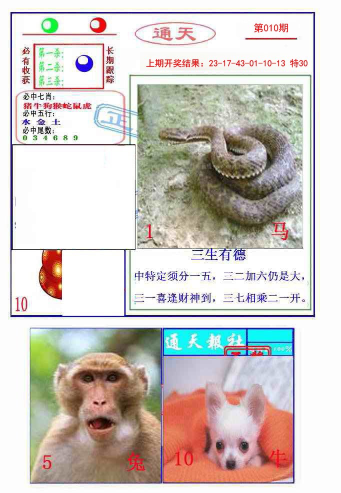 010期通天杀波图2[图]