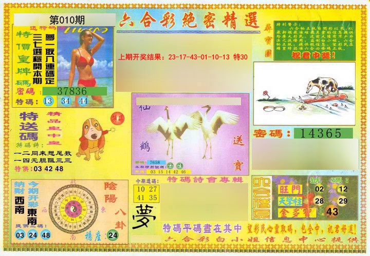 010期绝密精选A[图]
