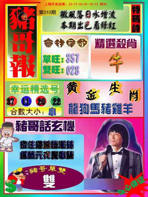 010期猪哥报[图]