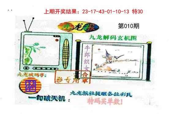 010期九龙报[图]