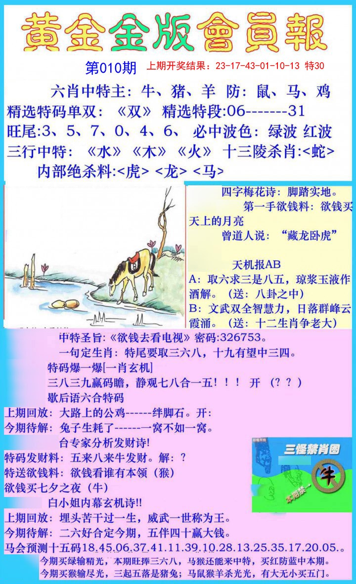 010期黄金金版会员报[图]