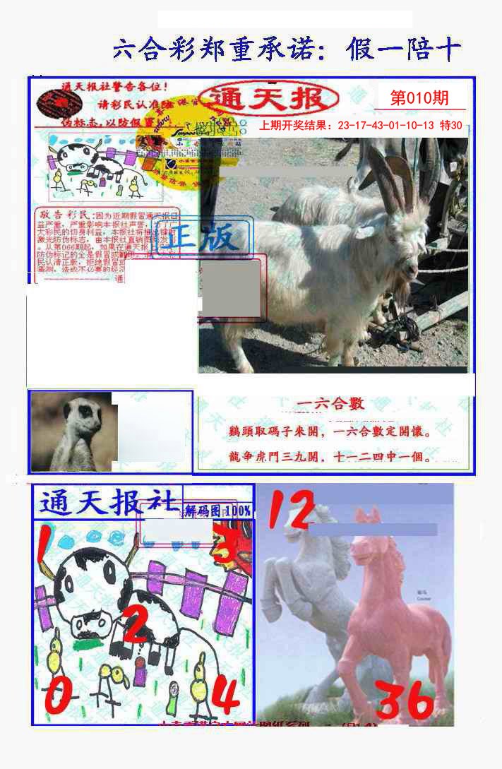 010期假一陪十通天报[图]