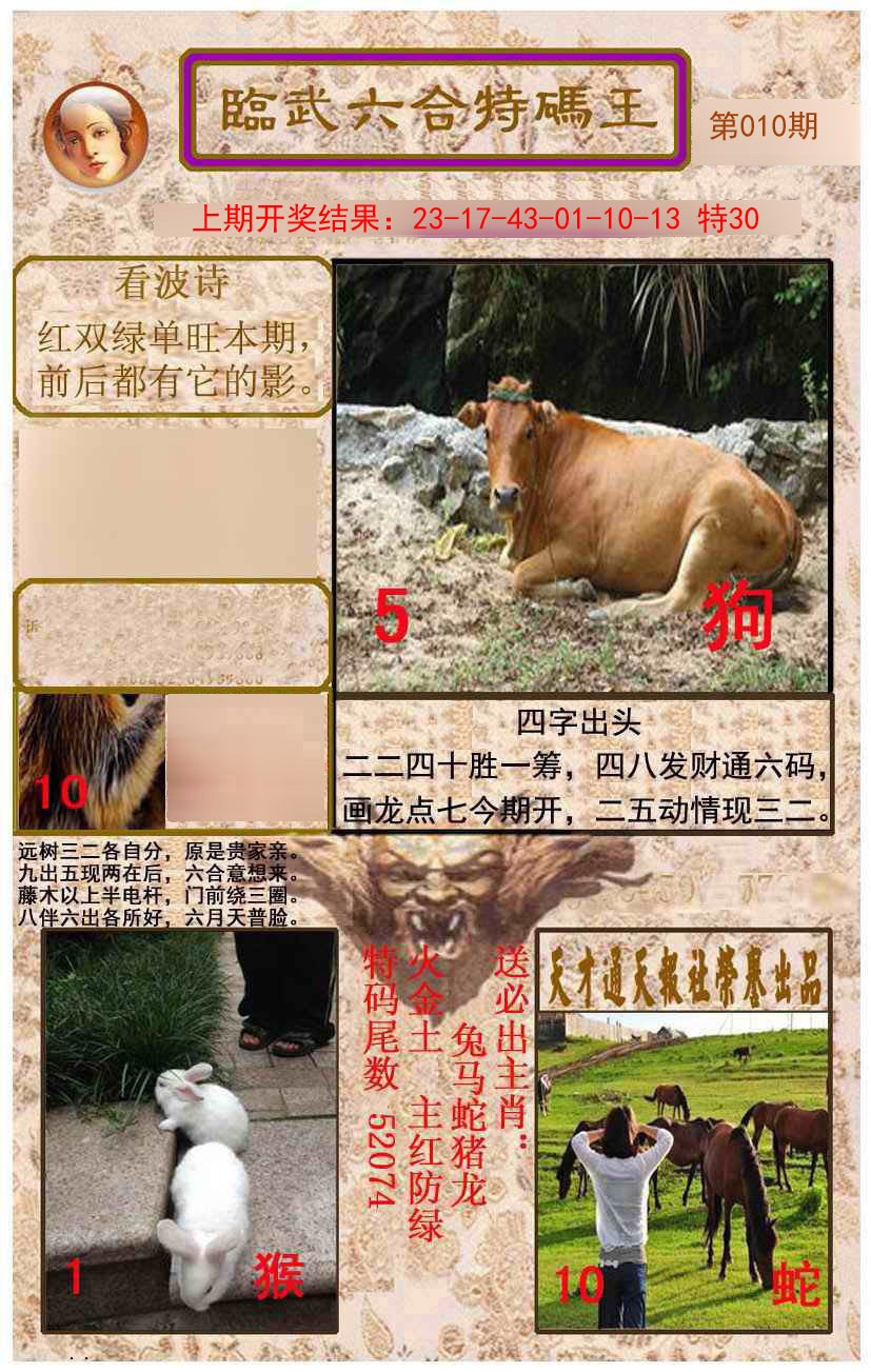 010期临武六合特码王[图]