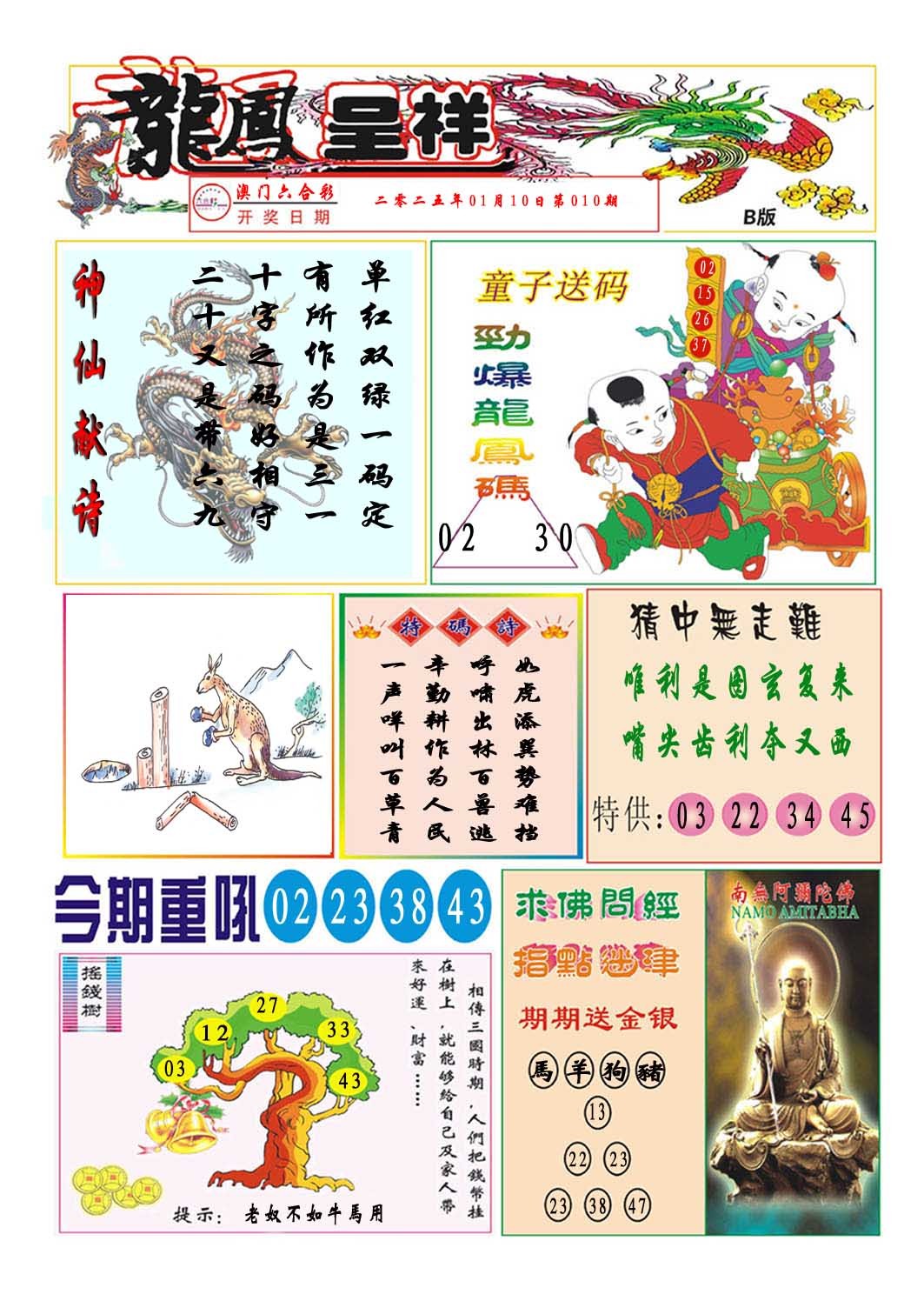 010期龙凤呈祥B[图]