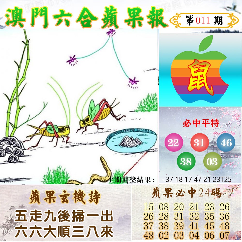 011期苹果报[图]