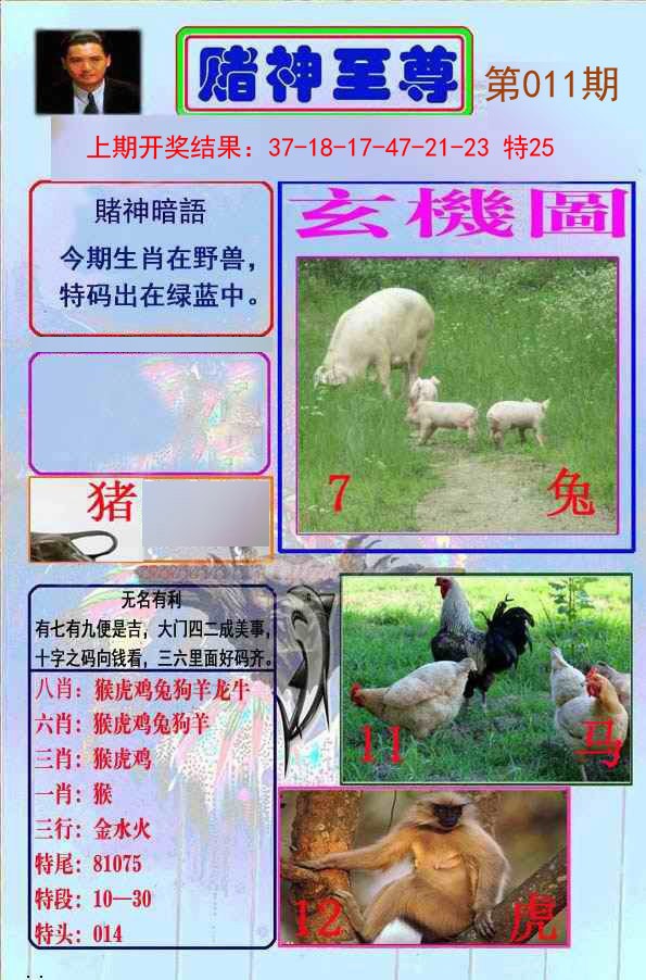 011期赌神至尊[图]