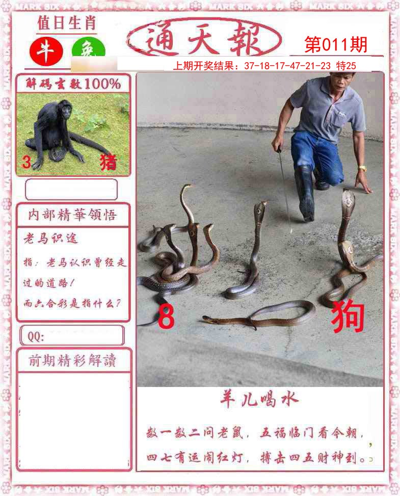 011期正版通天报[图]
