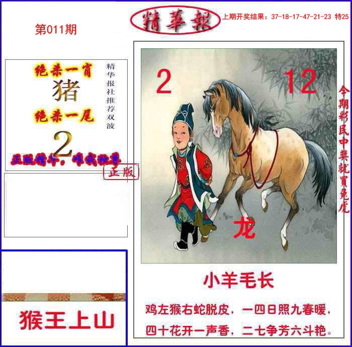 011期新精华报报[图]