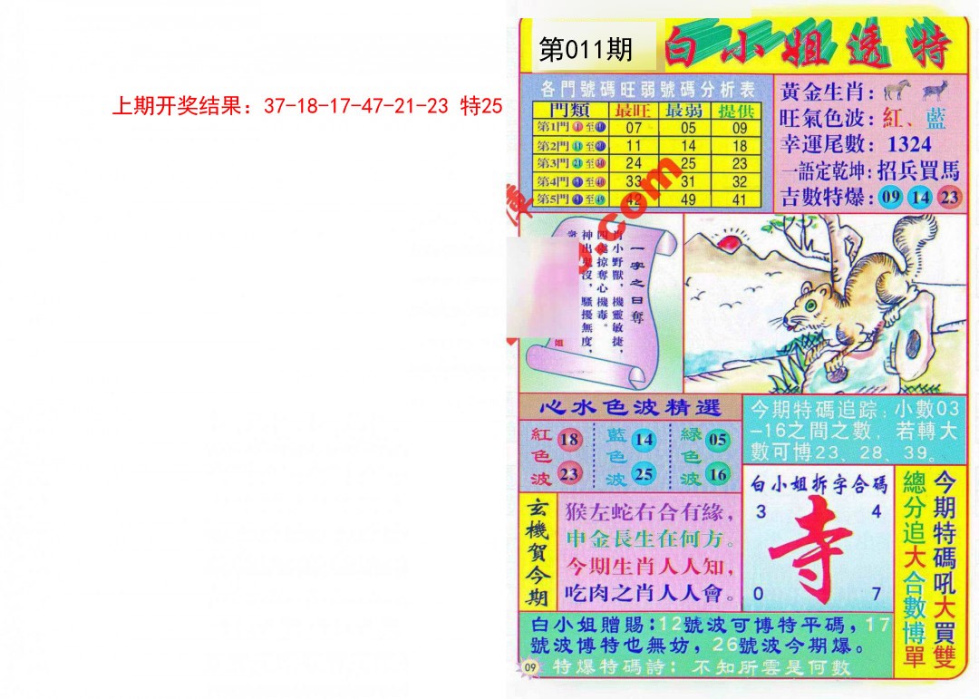 011期白小姐透特[图]