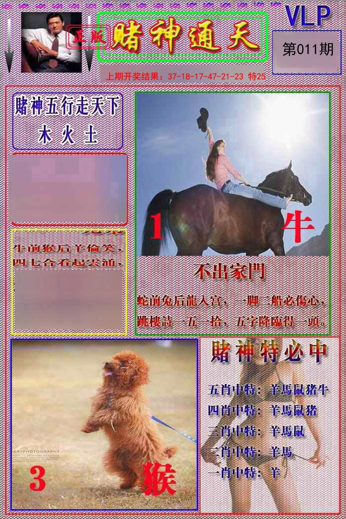 011期赌神通天报[图]