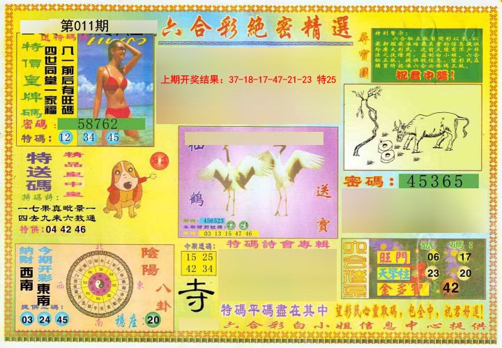 011期绝密精选A[图]