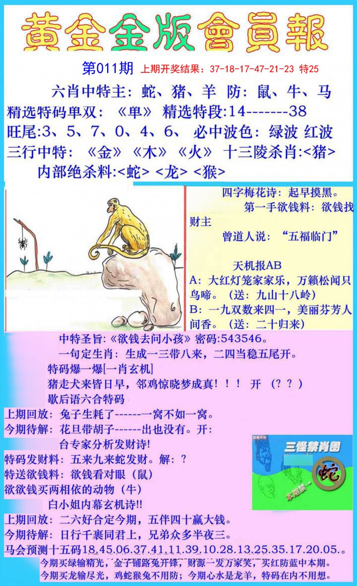 011期黄金金版会员报[图]