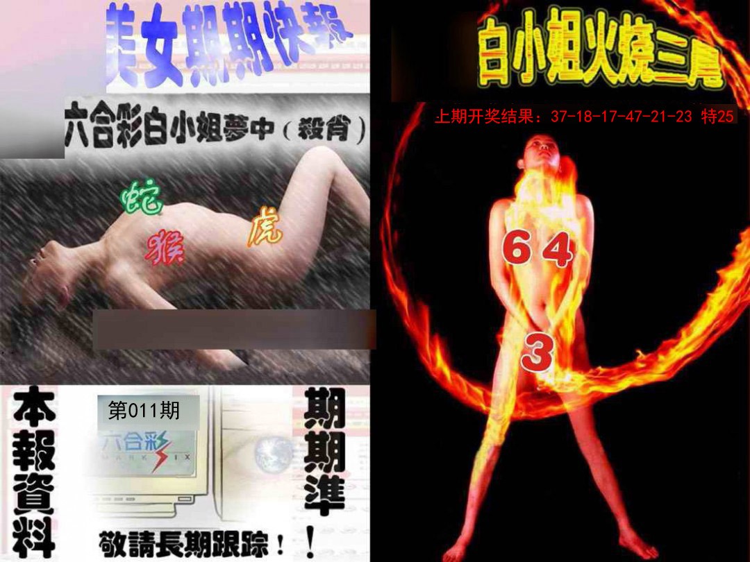 011期环球美女特码报[图]