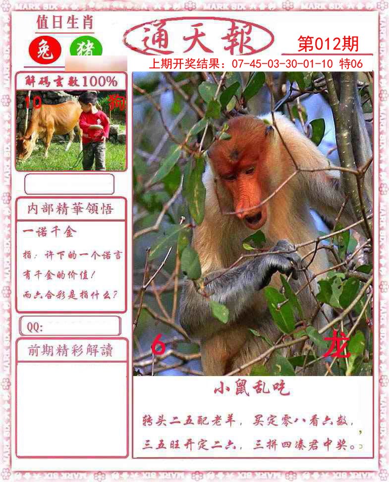 012期正版通天报[图]