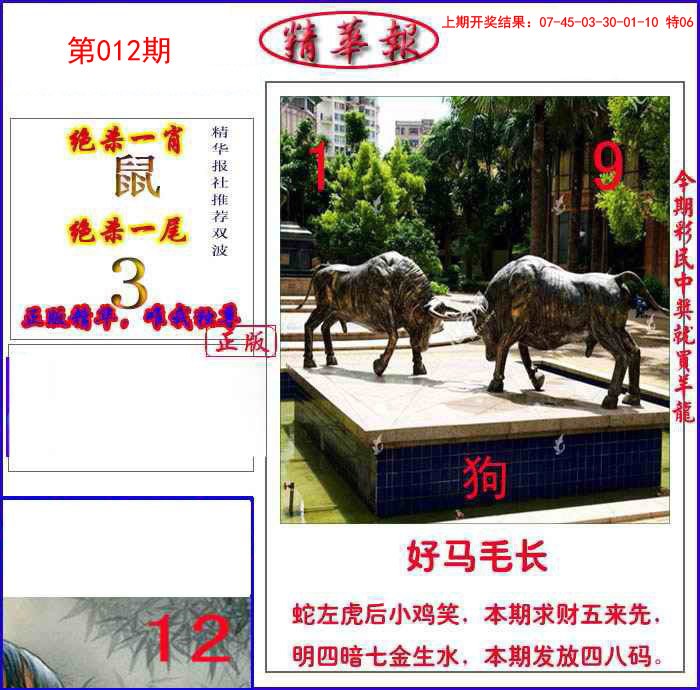 012期新精华报报[图]
