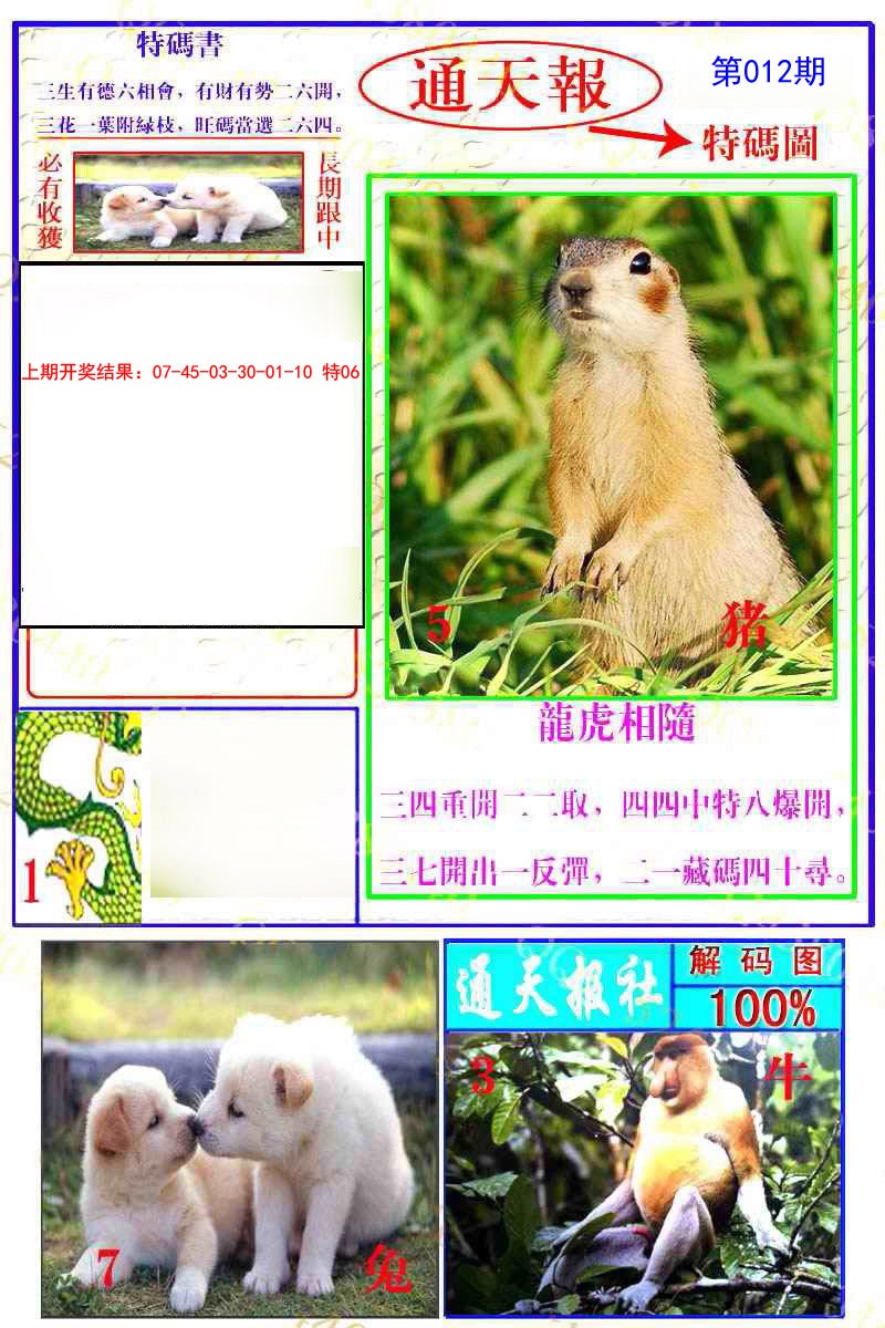 012期通天特解图[图]
