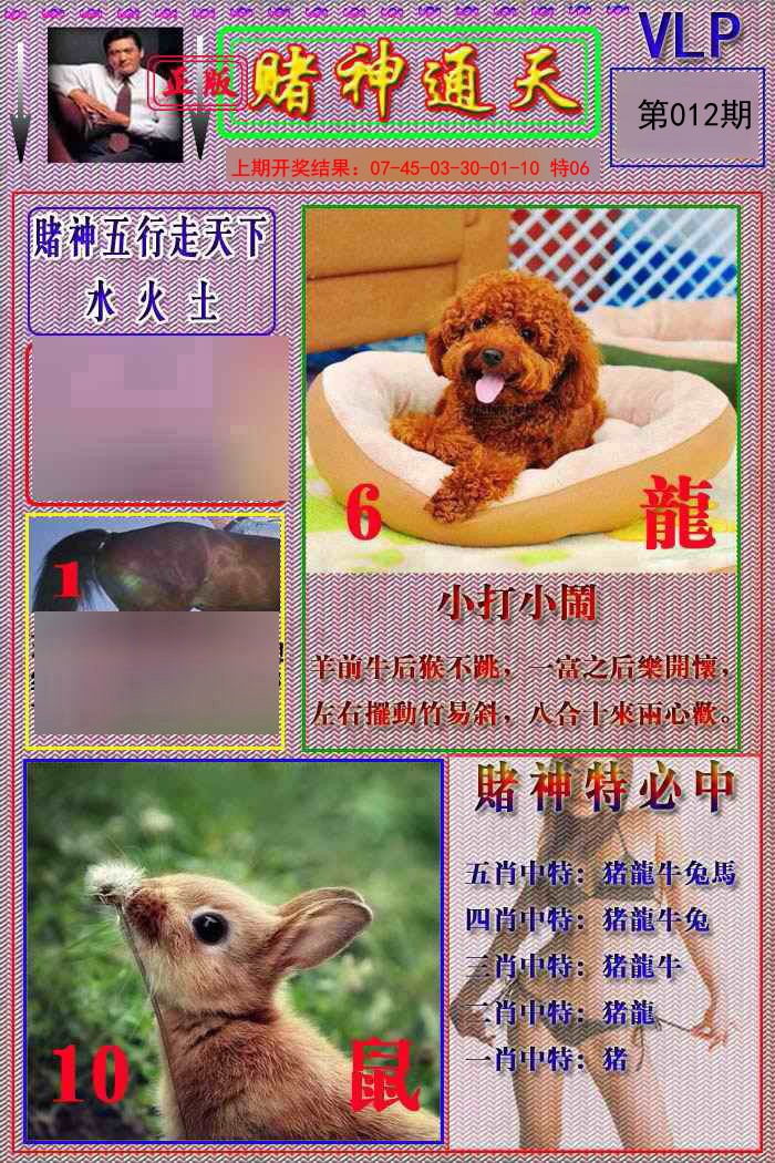 012期赌神通天报[图]