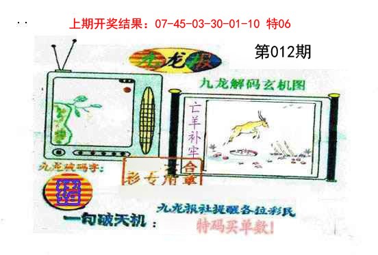 012期九龙报[图]