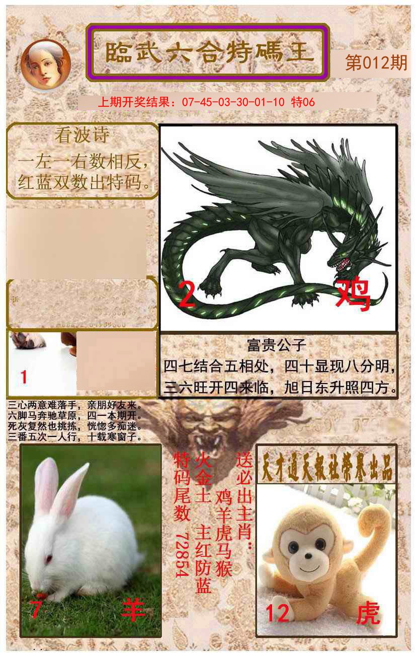 012期临武六合特码王[图]