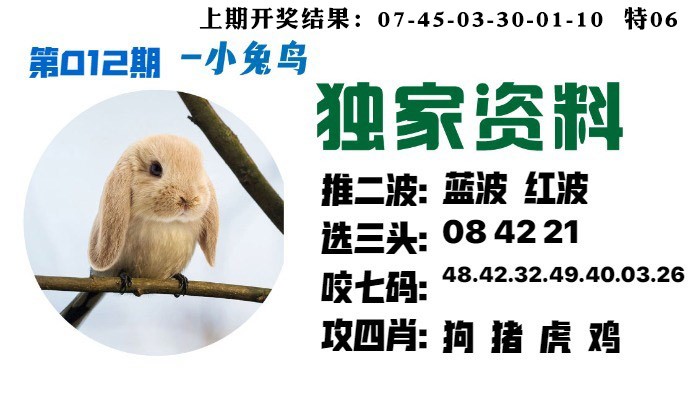 012期小兔鸟[图]
