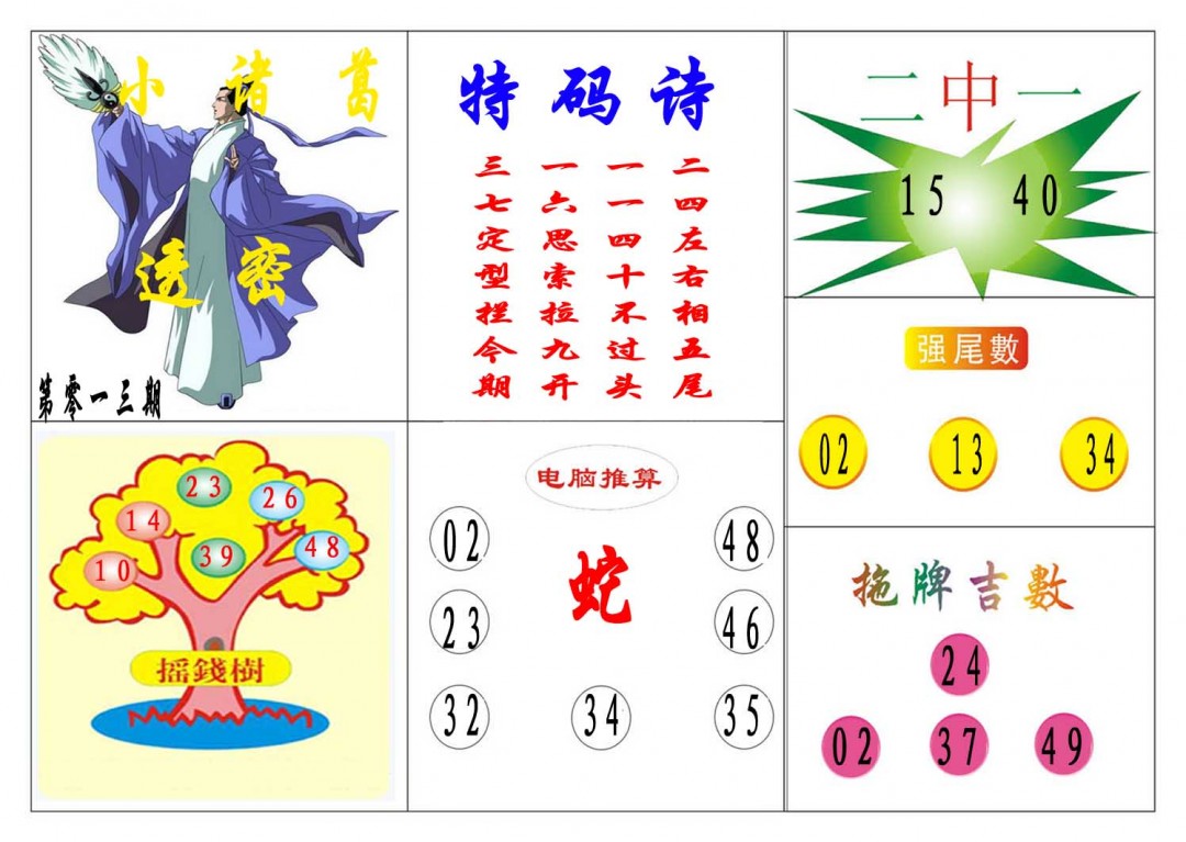 013期小诸葛[图]