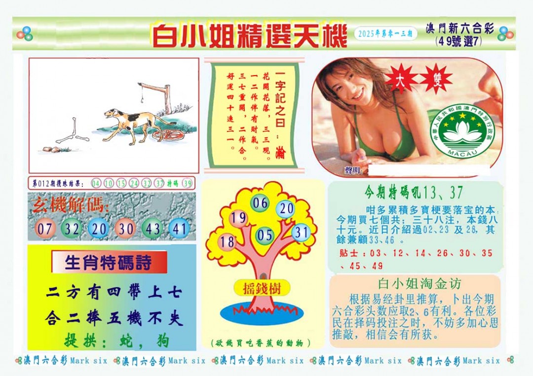 013期白小姐精选玄机A[图]