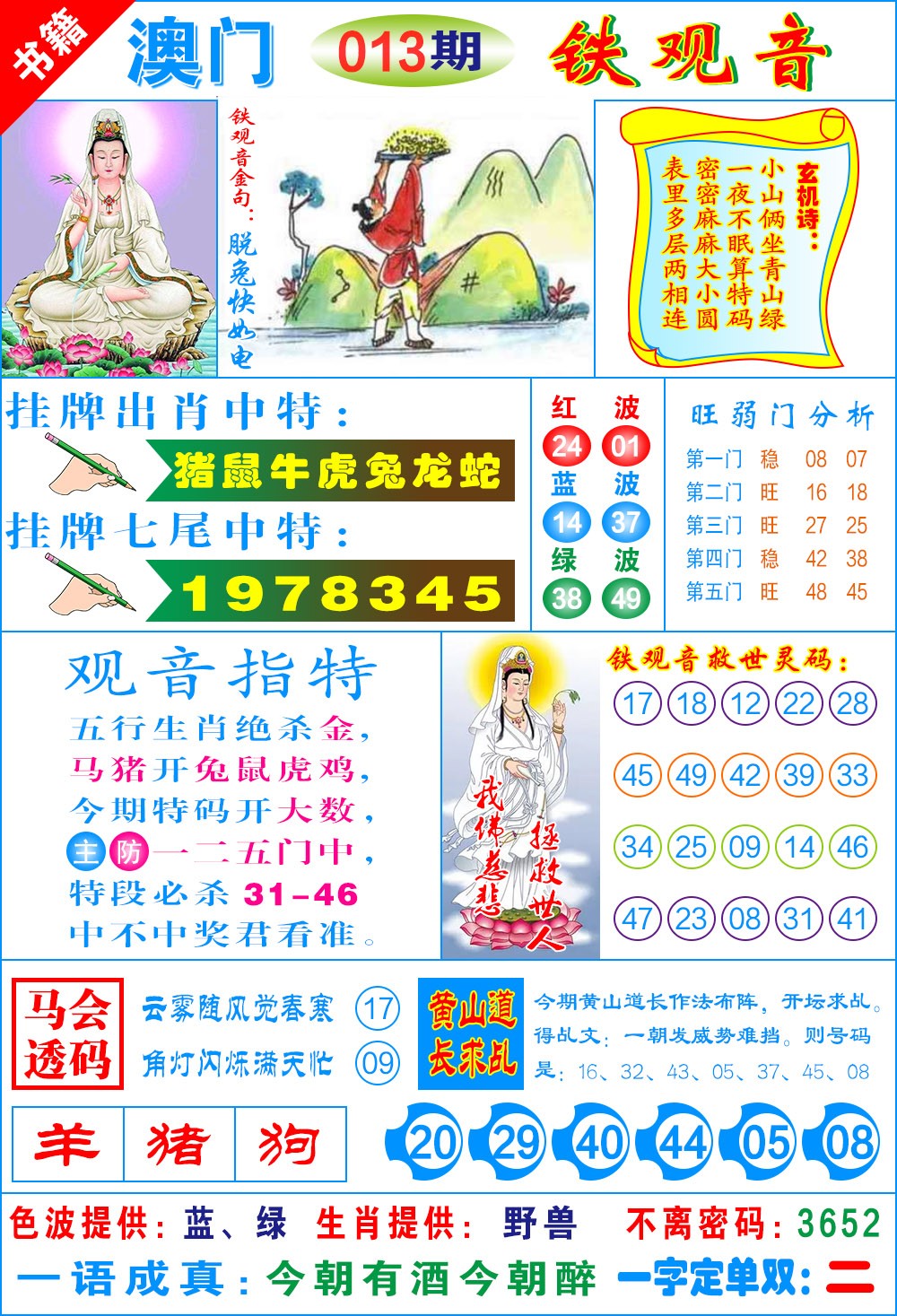 013期澳门铁观音[图]