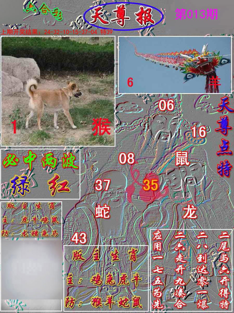 013期天尊报[图]