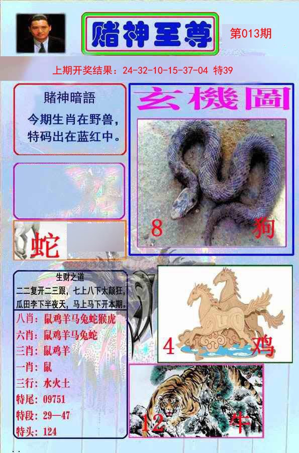 013期赌神至尊[图]